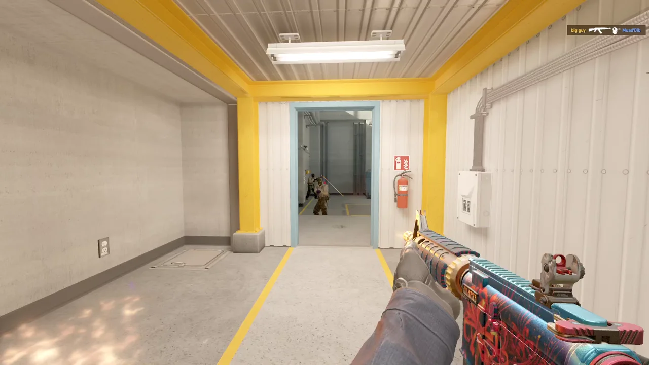 highlight